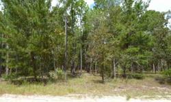 VERY PRETTY, HIGH & DRY PARCEL IN A GREAT AREA AND JUST OFF A PAVED ROAD. ADJACENT PROPERTY ALSO AVAILABLE. 10 MINUTES TO WILLISTON AND 30 MINUTES TO OCALA & GAINESVILLE. For more information contact BILL McCURDY at bill@hdownsrealestate.com or in the