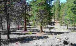LEVEL LOT! Build your cabin in the woods here. Walk to National Forest nearby. This subdivision is a recreational enthusiasts dream! This lot is a part of five contiguous lots for sale.
Listing originally posted at http