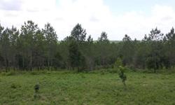 Hunters dream! Twenty acre site loaded with deer and turkey.