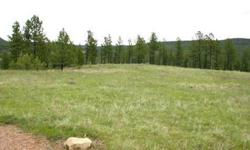 Prime 2.75 acre lot in the Crown Development. Lot 3 or 27 Garnet Drive, Newcastle, WY. Great location and easy year-round access 6 miles north from Newcastle off Hwy 85 in the beautiful Black Hills of Wyoming. Water, electricity and phone service are in