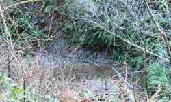 Wooded acreage 8 miles south of Bandon. Septic and electric installed 1985,needs well. Green Gulch runs through portion of property. Has great possibilities bring your ideasListing originally posted at http