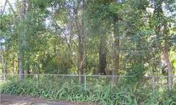 Two building lots in great area of Deland, convenient to shopping, schools and downtown. Lots are 75 x 140. Highest elevations in W. Volusia County. Price is per lot. Survey available.Listing originally posted at http