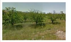 Prime land, cherry orchard with view of hills. 20 acres of land not subject to Williamson act, so it can be subdivided into 5 acre lots for ranchettes or subdivide an acre and build your dream home with a horse ranch and/or farming lots. The owner will