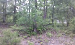 1 ACRE WOODED AREA AND MOSTLY LEVEL. GREAT COUNTRY LIVING IN A GREAT AREA.CORNER LOT AND FRONTAGE RD. GREAT FOR MOBILE HOME OR HOME.