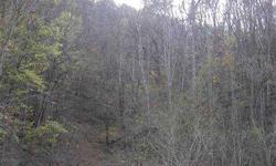 5 Acres of beautiful mountain and woods, with lots of privacy.
Listing originally posted at http