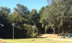 Excellent lot ready for a new home, lot has a septic tank and water. Very convenient for fishing in Bates Creek, Bates Lake and Tombigbee river.