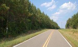 This 48 acre tract has an abundance of road frontage on Meronies Church Road and Campbell Road. The land features a good timber stand of Loblolly pine and rolling topography. This is an excellent tract for hunting and recreational use while the timber