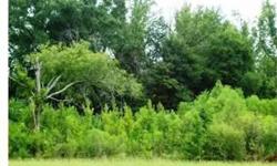 This is a nice tract of land suitable for development and would be a good investment opportunity. This lot is located on Mississippi highway 15/16 bypass and in the Williamsville community of Philadelphia, Mississippi, zoned C-3 highway commercial, has