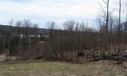 Gently sloping hillside with views of Huffman Lake - perfect for a walk-out. Near state land, this is a great recreational or homestead lot. Offers plenty of seclusion, but is in the Boyne Falls school district and reasonably near town and Boyne Mountain.