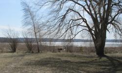 Lake Front property on Portage Lake right in the heart of beautiful Onekama Michigan. Minutes from Great fishing and Hunting. Right by the grocery store and the community center. Buried Sewer and available electric and natural gas. The lot also has a