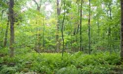30 acres currently in Chapter 61 with 325 foot frontage is a rolling wooded lot with potential for estate lot. Price includes a separate additional 1.25 acre lot with an intermittent water brook. Buyer to do own due diligence to obtain own permits.