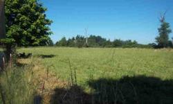 7.6 level acres just a short distance from Enumclaw, WA. County approved septic and water active. Can be purchased as separate entity or in conjunction with MLS# 263231. Open view to foothills, quiet and private with room to build your home. Come get