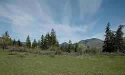 WOLF CREEK RANCH - a special group of parcels created from the original Thompson Homestead holdings. The parcels are on the south side of Wolf Creek, with 2 private bridges for access. Lot 6 offers 2 great settings
