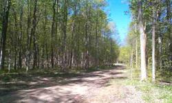Beautiful hardwoods line both sides of the road approaching this incredibly private building parcel. Level ground, dry sandy soil, and no road traffic noise here... Just the sound of birds, lots of deer and other wildlife. Only ten other lots are in this