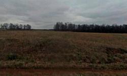 Located in quiet community, 4.4 Acres ready to build your dream home on. Restrictions include minimum 2000 sq. ft. and no mobile homes. Located in Lexington School district. 19,500 or best offer. Serious Inquiries Only. Contact Link at 256-361-5710