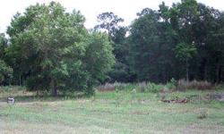 GREAT LOCATION FOR YOUR HOME. JUST MINUTES FROM LUDOWICI, GLENNVILLE AND HINESVILLE. NO DIRT ROAD BECAUSE PROPERTY IS ON HIGHWAY 301. TWO LOTS AVAILABLE. BRING YOUR MOBILE HOME OR BUILDER WILL BUILD TO YOUR PLANS.Listing originally posted at http