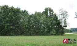 Vacant lot waiting to be purchased so you can build the home of your dreams.