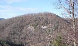 Affordable piece of property with a gentle build site. Very nice short range mt. views with a bit of clearing.Deeded spring rights. two acres to the right, multiple listing service 76861 also available.