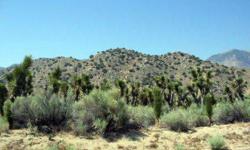 If you like high desert living without being way out in the desert, take a look at this 4.83 acreage in a sparsely populated neighborhood for lots of privacy. The property is zoned Recreational Forestry (RF), which has a lot of uses including having large