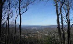 The premiere lot on chestnut mountain!!! End of road privacy!!!