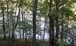 NICE LAKEFRONT LOT IN PINE BLUFF LOCATED ON BIG YEAR ROUND WATER.
Listing originally posted at http