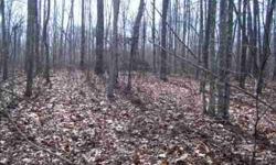 5.04 Acres - This is a level to rolling tract in Morgan County, TN. This property would be ideal for a wooded home site with good privacy. With some clearing, this property would also be ideal for horses. Call Andy for details - 843-532-2946.