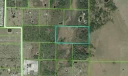 GREAT value on this 20 acre parcel in beautiful Venus, FL. Mostly cleared pasture in the front with large stand of pines in the back. Less that $1500 per acre! Better hurry to snap up this value. It won't last long.Listing originally posted at http
