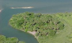 3 Acres of a real private island is for sale by owner. Waterfront / Halifax Riverfront / Private Island / on the Florida Atlantic Intracoastal waterway of Port Orange, Florida. PRIVATE ISLAND IS FOR SALE BY OWNER ONLY NO REALTORS PLEASE NOW ASKING
