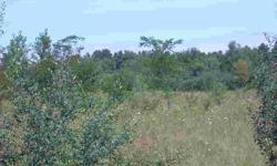 Beautiful 25 acres with road frontage on both Hilts and Lake Four Rds. Many nice building sites, some low land with water to draw in wildlife, apple trees, nice tree line on north edge of property. Just short way to the public access of Lake Four for