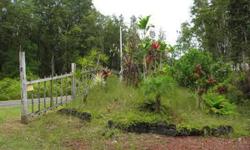 Enjoy this sweet property on sugarcane lane! This is a wonderful property covered with large native ohia trees, and comes with a well constructed unpermitted 16x18 screened building, lockable wood 7x11 storage shed, on two lots for a total of 24,000