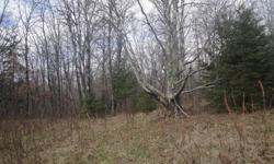 3 A lot for sale. nicely wooded..beautiful winding drive way..building spot cleared and ready for your dream home...These photos were taken just before road was put in and building site cleared. call for new pics or come and see it. Fifty Lakes, Mn.