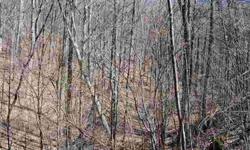 16 WOODED ACRES LOCATED OFF OF THE HUNTERS FORK RD, CITY WATER AND ELECTRIC AVAILABLE, SEPTIC NEEDED.
Listing originally posted at http
