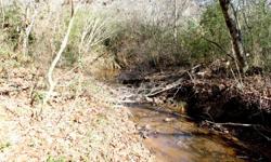 Amazing opportunity to own prime land in Clay Co, Alabama for $2,500 an Acre!! WOW! The property has a running creek, two small ponds, boarders the Talladega National Forest with a large power line run on top of the mountain perfect for hunting. Access