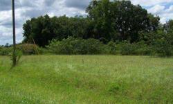 10 acres on the corner of CR132 & 140th Ct. in Deer Hammock where mobiles & site built homes are allowed (deed restrictions apply). The property is mostly wooded with some cleared on the 140th Ct side. Listed by Pam Beauchamp with RE/MAX Professionals.