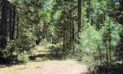 Look at this 2.7 acres with lots of pine trees and usable terrain. In addition to the beauty of this parcel, it is accessed by 5 roads in the Meadow Lakes Subdivision! Merriman, Corlew, Robles, Chipmunk & Puma all dead-end into this recently surveyed