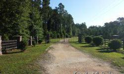 Good price and private.property is close to bronson,chiefland and trenton fl.build your home and or have your own private place to hunt or just enjoy the wildlife and nature.this property has a private gated entrance only accesed to property owners and