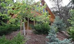 A truly ONE of a KIND log home! Newer home built in 2005 with Amerilink "D" logs. "Killer views!" Backs to a wooded hillside. Dramatic custom design with a spacious & light Great room featuring a wood-burning stove, vaulted ceilings, floor-to-ceiling