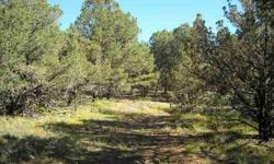 Great one acre lot being offered just north of Ruidoso. This area is very quiet and peaceful with some nice wildlife. The lot is mostly level with some good building spots and a nice variety of trees. The Restrictive Covenants call for site-built homes of