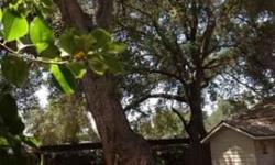 A Great House on a Great Street at a Great Price. 1402 White Oak Circle in Ojai is a large 2 bedroom/1.75 bathroom home in move-in condition. 1654 square feet that could accommodate another bedroom and bathroom without adding-on. White Oak Circle is a