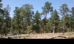 Build your dream home in the trees! Beautiful wooded area close to Keyhole and I-90. Property has 3.6 acres and electric. Lots sold as a package.Listing originally posted at http