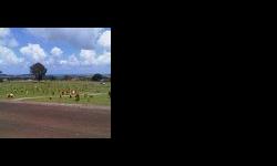 A beautiful scenic view where burial plot is located. The location is Garden of Inspiration, Lot 241, Section D, Site 2, at the Hawaiian Memorial Park Cemetery, Honolulu, Hi. I live in Henderson, NV, but you can still contact me and I can give point of