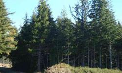 Minutes to World Class Golf and Beautiful Bandon by the Sea, this 2 acre wooded parcel is full of possiblities. Priced to sell!Listing originally posted at http