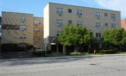 APPROVED SS AS IS NO DELAYS CLOSE NOW. CONVENIENTLY LOCATED AND WONDERFUL DOWNTOWN SKOKIE CONDO ACROSS FROM LIBRARY. LARGE 2BED/2BATH HOME WITH SUNNY ROOMS THROUGHOUT, GENEROUS LIVING/DINING ROOMS, EAT-IN KITCHEN, WELL MAINTAINED UNIT & BUILDING. SAME