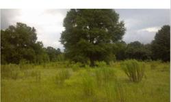 20 acres of cleared pasture with a scattering of trees. Property includes two older manufactured homes