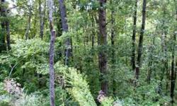 -Nice sized lot in a great subdivision only ten minutes from downtown Asheville. There is underground fiber optic cable installed and four homes are built or are being built! Paved roads, city water and in a perfect location. Come see!