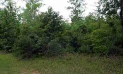 Excellent property for a site built home or mobile home. Property has water, electric, and gas available at the paved county road. There is approximately 800 feet of road frontage with this property.
Listing originally posted at http