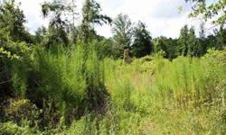 25.49 acres with 23.49 acres in mixed pine and 2 acres in wet land. Is divided into 4 parcels one with US 90 frontage and 3 with Tram Rd. frontage, a county paved road.Listing originally posted at http