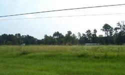 1.221 +/- acres on SH 249 in Decker Prairie. Terrific location for your business! 140 +/- ft SH 249 Frontage. High Traffic. Montgomery County. Utilities Available!
Listing originally posted at http