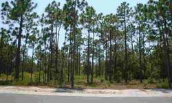 This beautiful rounded corner home-site located in the Woodlands Park Neighborhood of St James Plantation is lightly speckled with indigenous hardwoods and pine trees. Build any style home you want on this corner home-site located on a peaceful and quiet