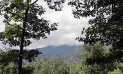 Enjoy golf and dining. Well-laying lot with easy access. Views of Cold Mountain. Springdale Country Club is close to the Blue Ridge Parkway. One side of lot borders greenway.Listing originally posted at http